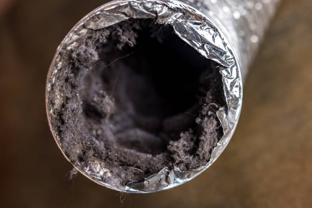 Best Dryer Vent Cleaning Services  in Vidalia, LA