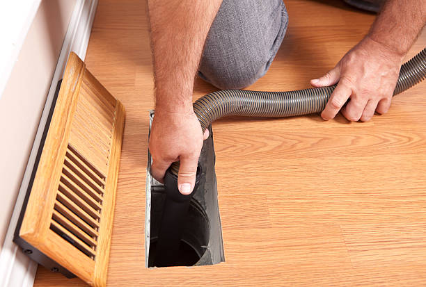 Best Air Duct Mold Removal  in Vidalia, LA